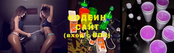 шишки Белоозёрский